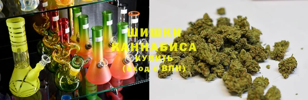 ПСИЛОЦИБИНОВЫЕ ГРИБЫ Горняк