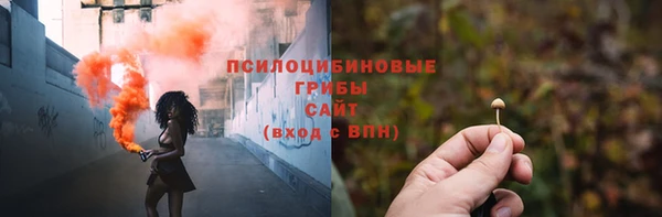 прущие крисы Пестово