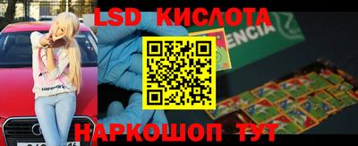 spice Берёзовский