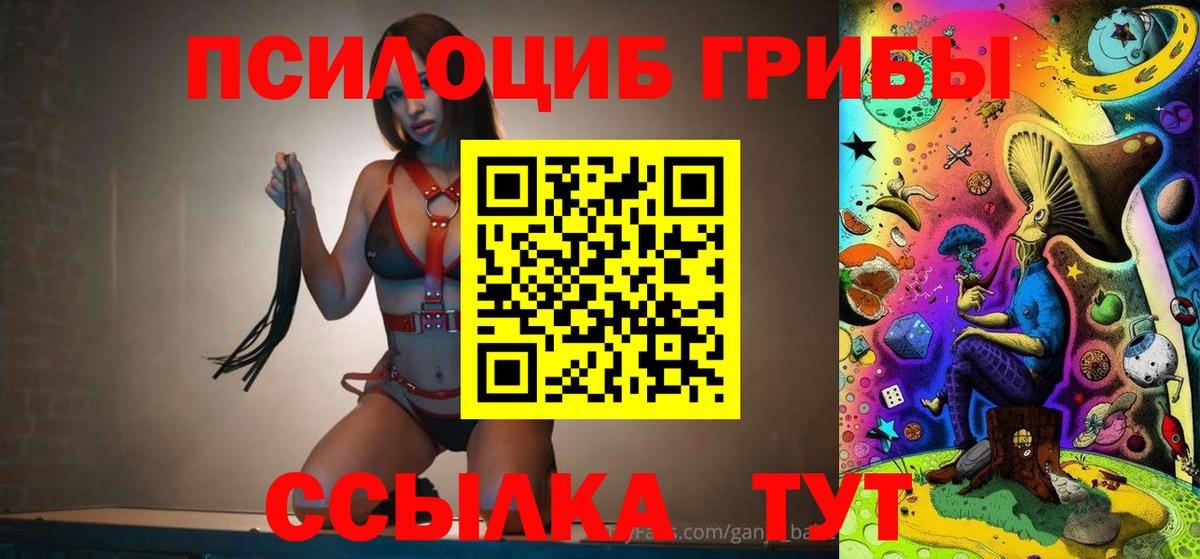 хочу наркоту  Галлюциногенные грибы мухоморы  Великие Луки  Галлюциногенные грибы Psilocybine cubensis 